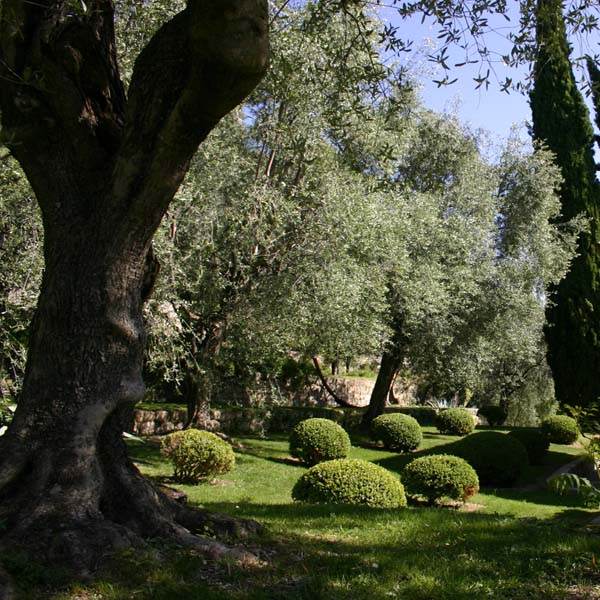 Domaine de la Mouissone_06130 GRASSE_20